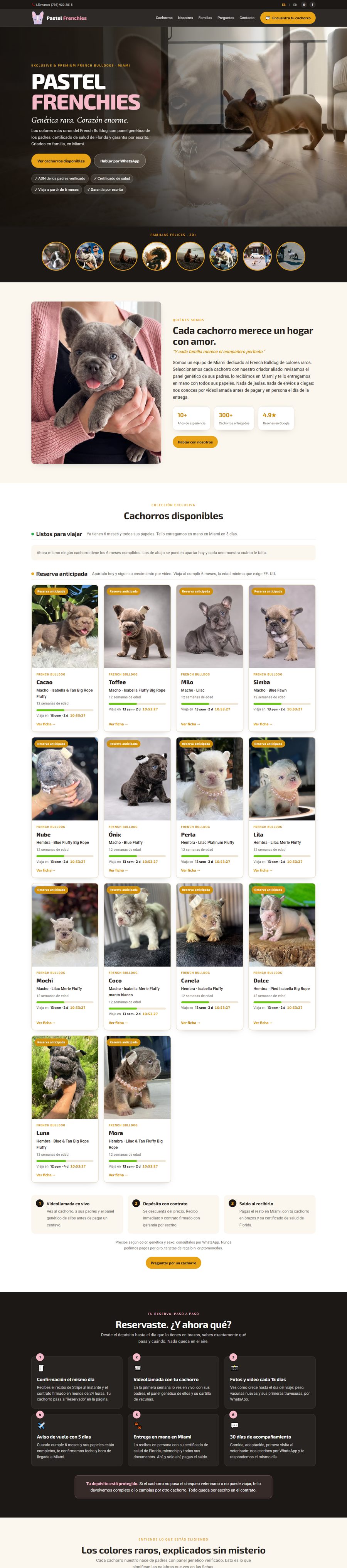 Página web de Pastel Frenchies